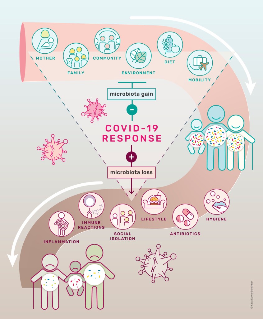 Image reads COVID-19 RESPONSE in the center. Above, microbiota gain, which points to mother, family, community, environment, diet, and mobility as positive influences. Below, microbiota loss, which points to inflammation, immune reactions, social isolation, sedentary lifestyle, antibiotics, and hygiene as negative influences.