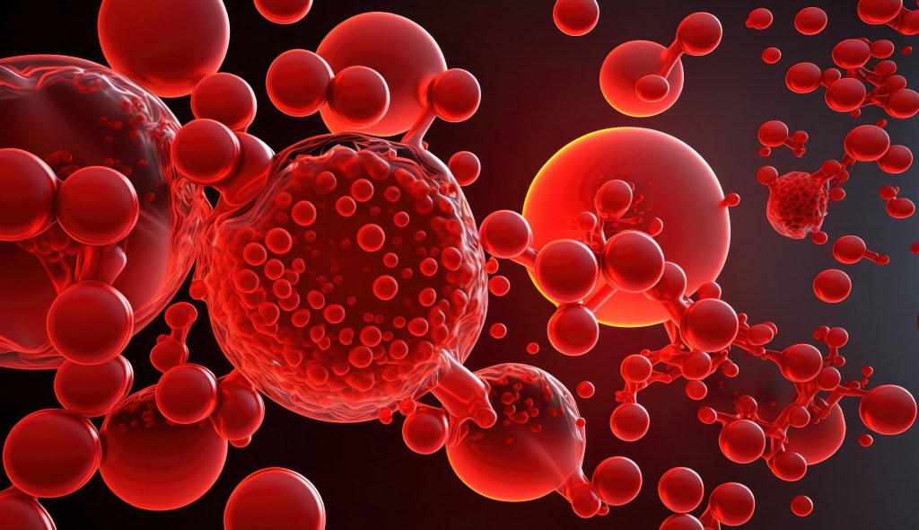 Should I Consider Bone Marrow&nbsp;Donation?